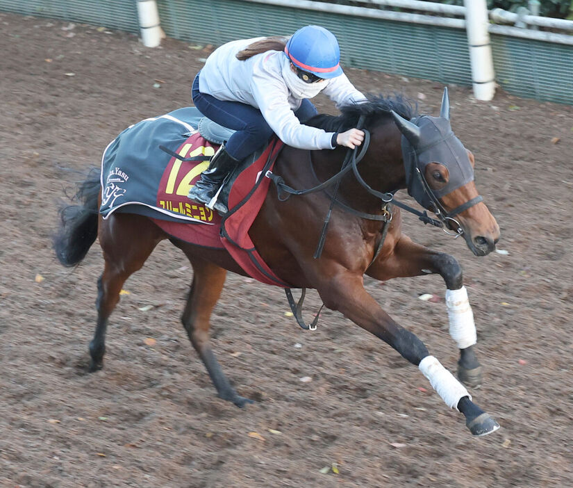 永島まなみ騎手を背に追い切るスリールミニョン