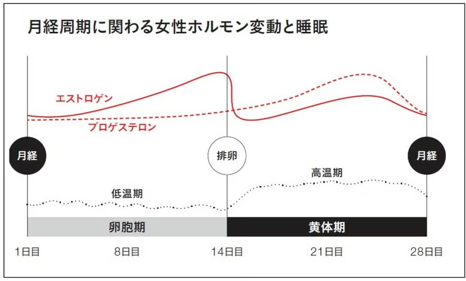 プロゲステロンが優位となる黄体期は、睡眠が浅く、日中の眠気が強くなりやすい。この傾向は、PMSが重い人に特に顕著だとか。両ホルモンの分泌量が一時的に低下する妊娠初期にも、睡眠が妨げられやすくなるという。