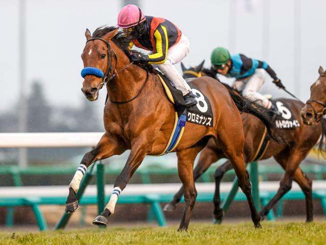 重賞初制覇狙うクロミナンスは2枠4番(撮影：下野雄規)