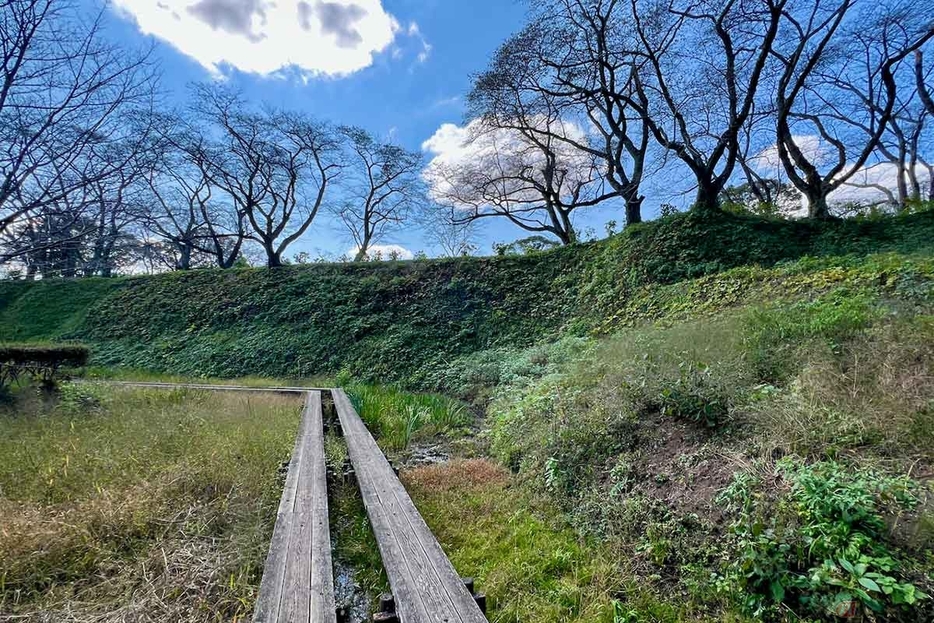 湿地帯となっている横堀には木製の歩道も設置されていた。周りの「切岸（きりぎし）」（防御のため鋭角に切り取られた崖）も見事