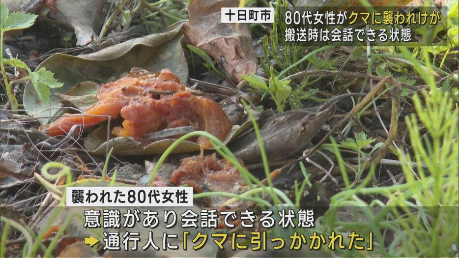 「クマに引っかかれた」