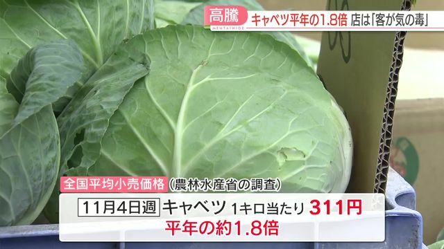 キャベツの価格が高騰