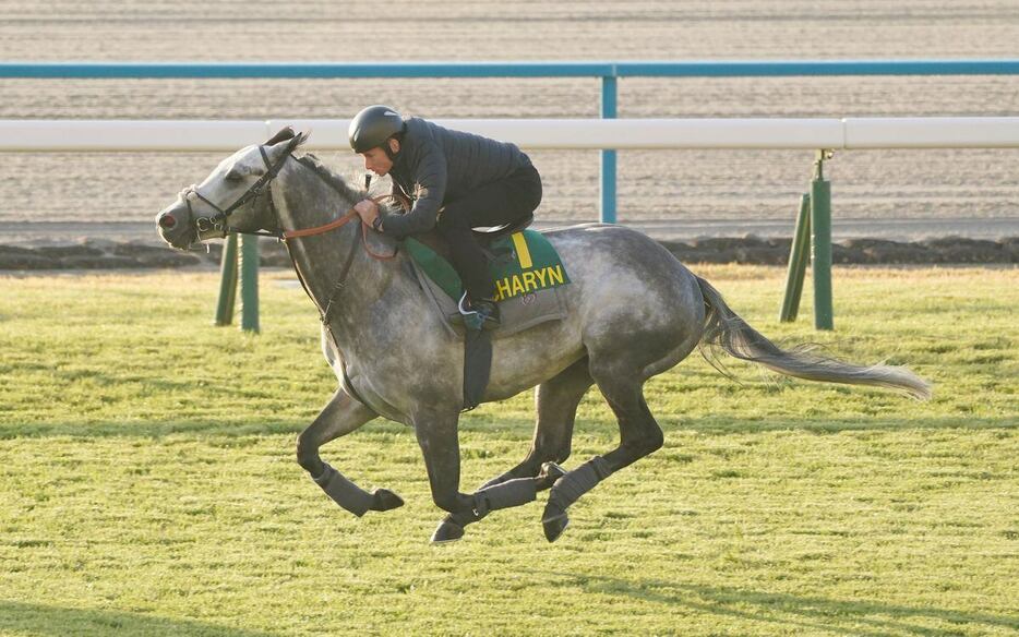 ライアン・ムーア騎手を背に切れのいい身のこなしを見せたチャリン＝京都競馬場（撮影・榎本雅弘）