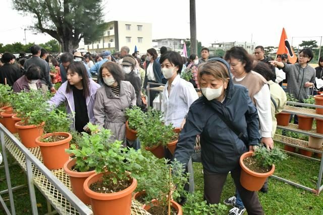 多くの住民らが足を運び生徒たちが育てた菊を買い求めた菊まつり＝22日、鏡原中学校