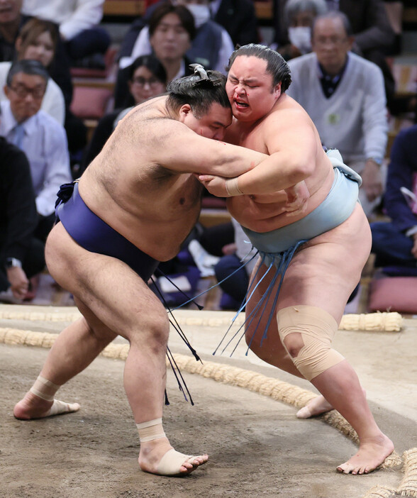 大相撲九州場所１２日目。高安（左）は琴勝峰を寄り切りで破る＝２１日、福岡国際センター