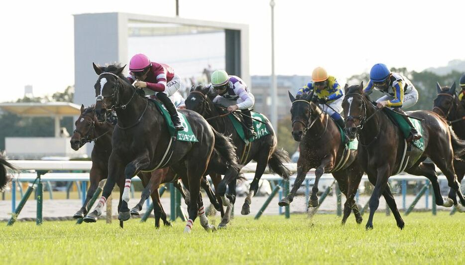 力強い末脚で差し切ったエリキング（手前、桃色帽）＝京都競馬場（撮影・岩川晋也）