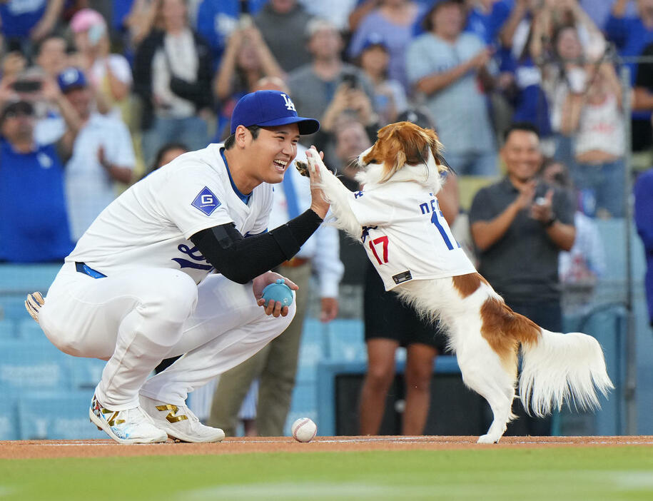 ドジャース対オリオールズ　始球式を務めた愛犬デコピンとタッチをする大谷（撮影・菅敏）