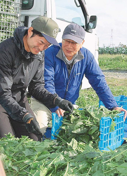 軽部さん（左）の出荷調製作業を見守る菊地さん（20日、福島県南相馬市で）