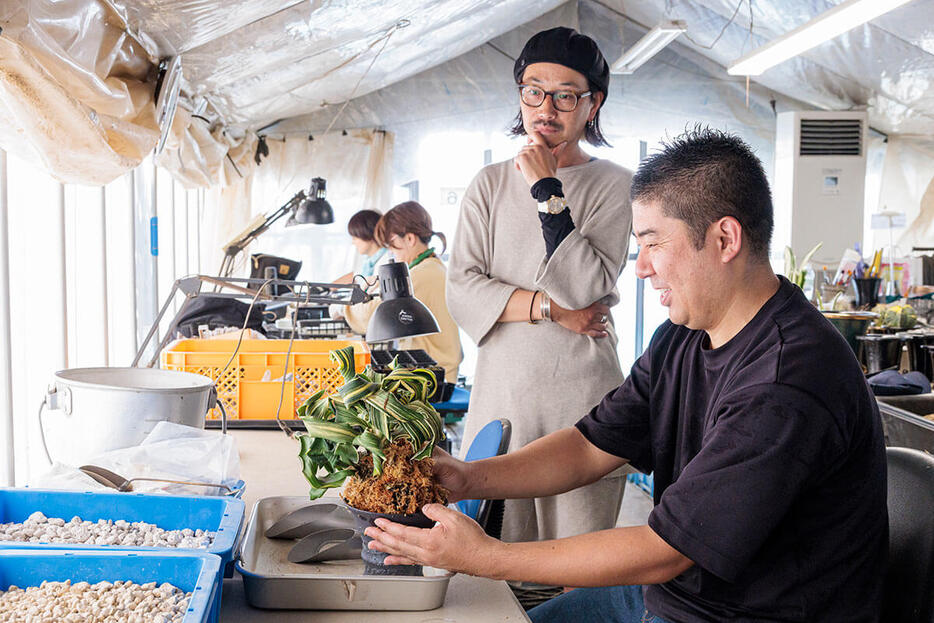 （撮影／田中雅也、撮影協力／かみ山陶器、CORON CACTUS、豊明園）