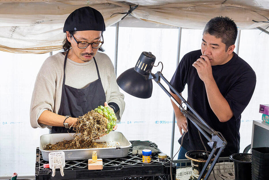 （撮影／田中雅也、撮影協力／CORON CACTUS、豊明園）