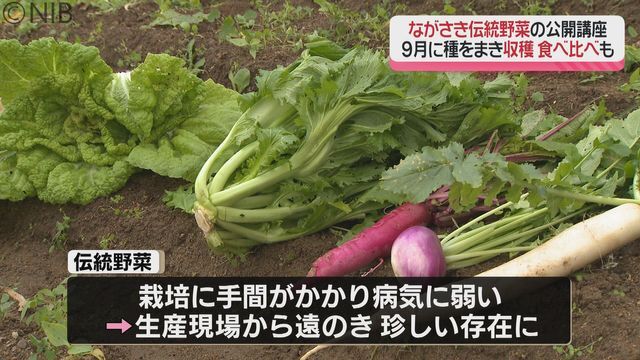 NIB長崎国際テレビ