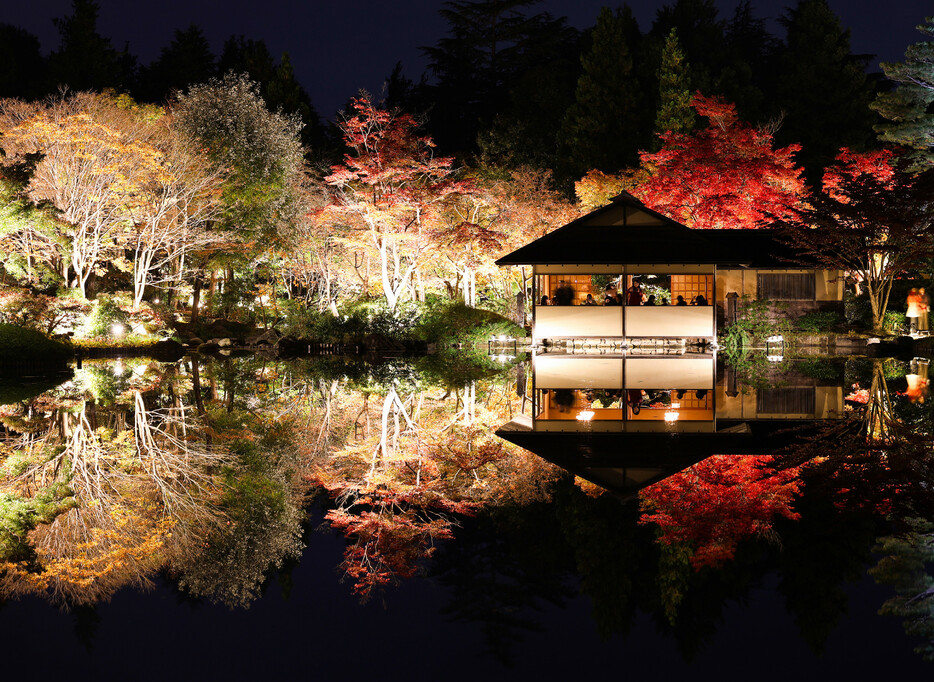 東京・国営昭和記念公園内の日本庭園での、ライトアップイベントが人気を集めている。同イベントは今年で５回目。「夜の公園の魅力を伝えたい」として、公園担当者により企画された。ライトアップは来月１日まで。