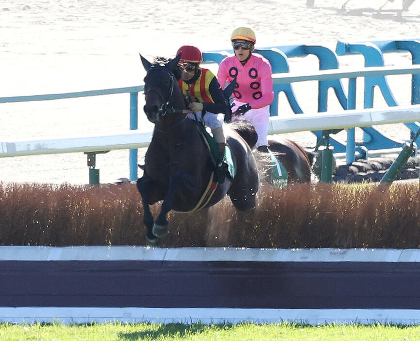 最終障害を飛越する京都ジャンプSを制したスマイルスルーと高田騎手（撮影・白石智彦）