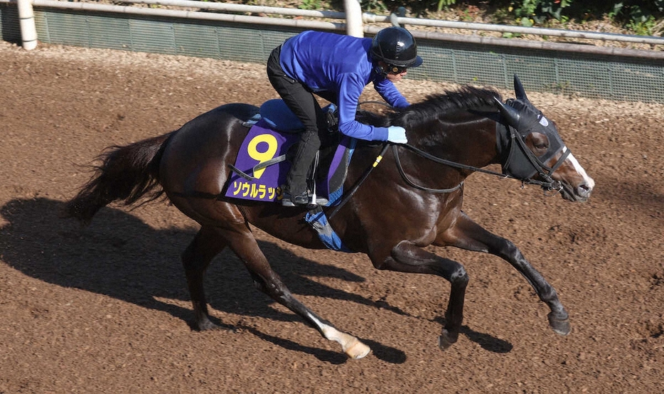 ＜マイルCS＞坂路で追い切るソウルラッシュ（撮影・亀井　直樹）