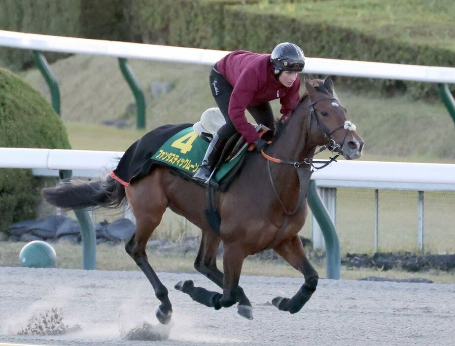 ファンタスティックムーン＝東京競馬場（撮影・塩浦孝明）