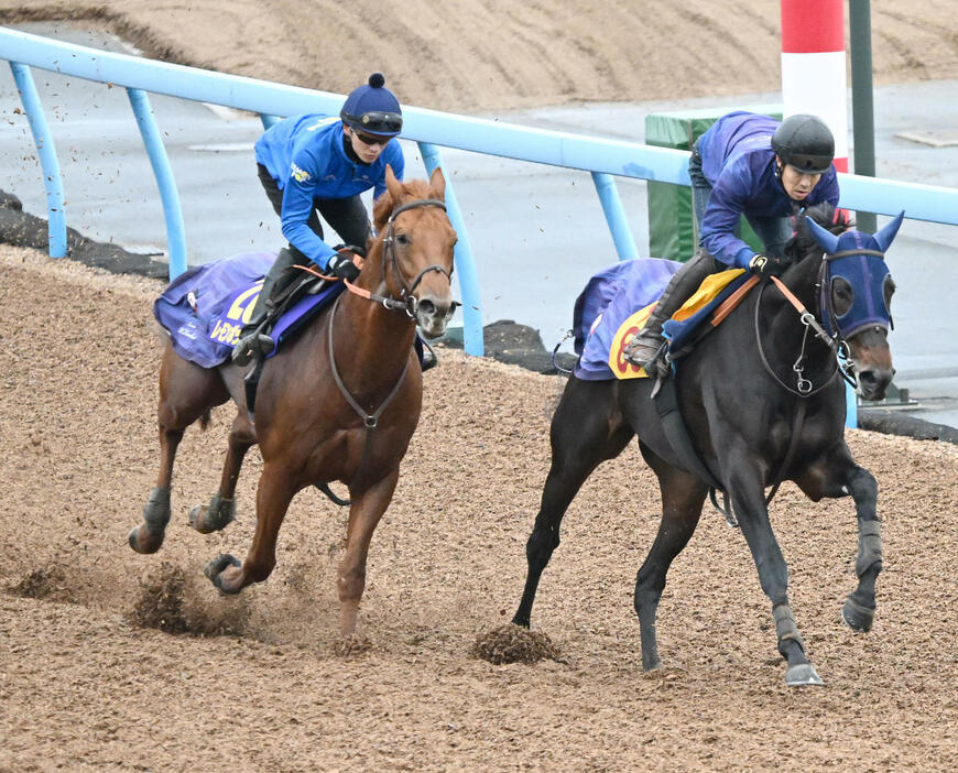 美浦ウッドで坂井騎手を背に2頭併せて追い切るレモンポップ（左）（撮影・千葉一成）