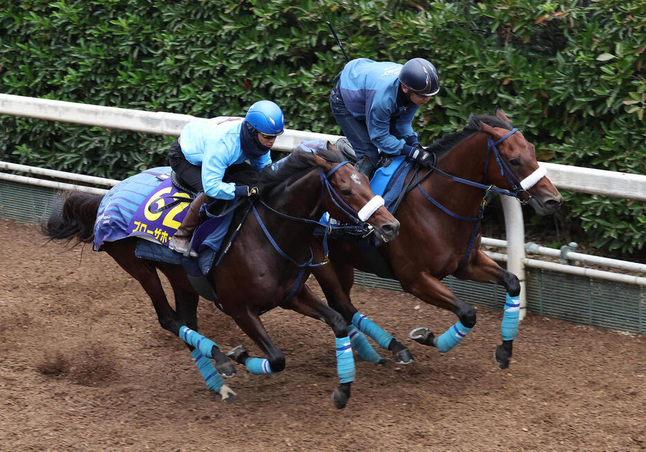 坂路をロードアウォード（右）と併せ馬で追い切るブローザホーン（撮影・白石智彦）