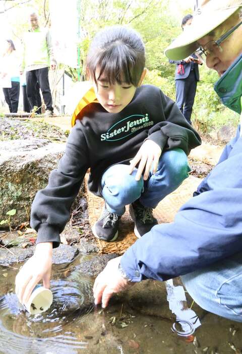 紙コップに入ったホタルの幼虫を放流する小学生＝21日、千葉県君津市杢師の大道沢公園（松崎翼撮影）