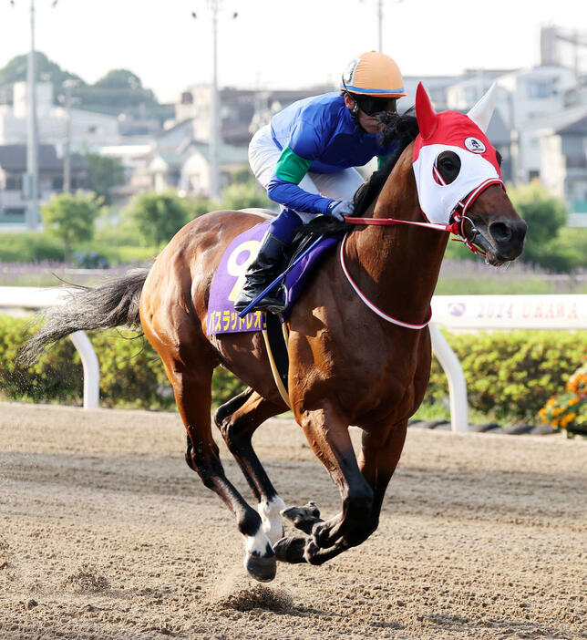 バスラットレオン（2024年6月撮影）