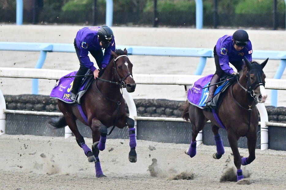 迫力がさらに増したドウデュース（左）