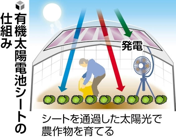 有機太陽電池シートの仕組み