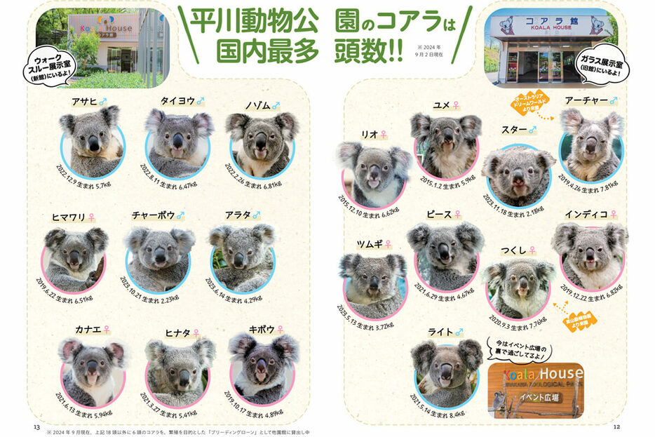 平川動物公園で飼育されている全18頭のコアラたち（2024年10月現在）。画像は書籍『すごいコアラ！ 飼育頭数日本一の平川動物公園が教えてくれる不思議とカワイイのひみつ』より