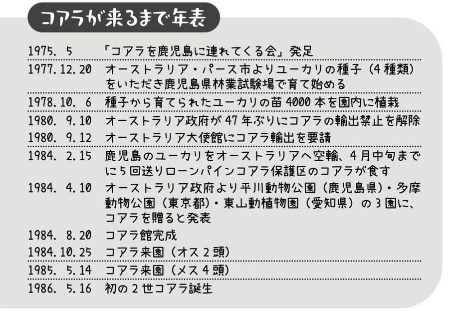 平川動物公園にコアラが来るまでの年表。画像は書籍『すごいコアラ！ 飼育頭数日本一の平川動物公園が教えてくれる不思議とカワイイのひみつ』より