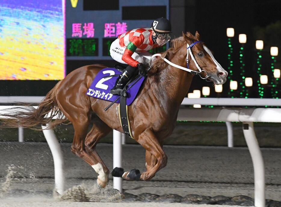 エンテレケイアが4馬身差で圧勝。スピードの違いを見せつけた（撮影・高橋朋彦）