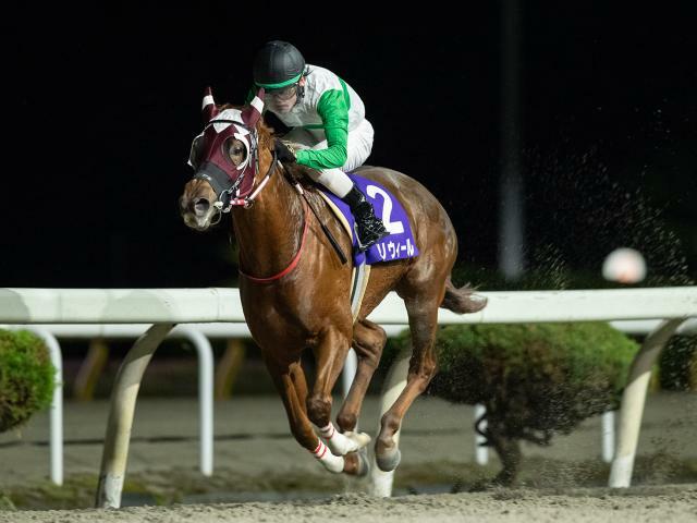 南部駒賞を制したバリウィール(提供：岩手県競馬組合)