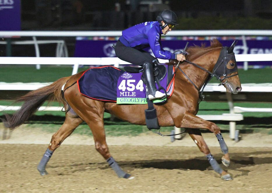 デルマー競馬場で調整するジオグリフ