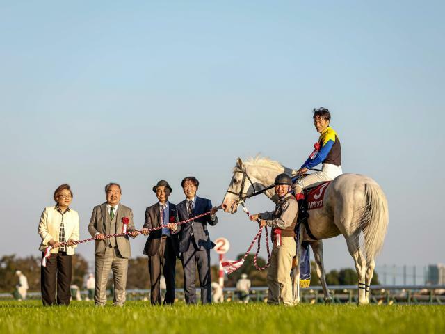 アルゼンチン共和国杯を勝利したハヤヤッコ(撮影：下野雄規)