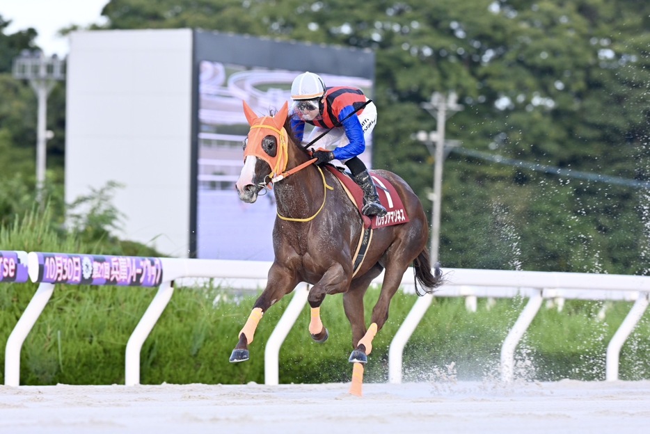 兵庫クイーンカップ・ハクサンアマゾネスと吉原寛人騎手 (C)T.Isaka