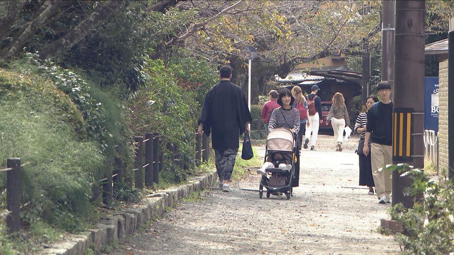 落ち着いた雰囲気が人気の観光地「哲学の道」（京都・左京区）