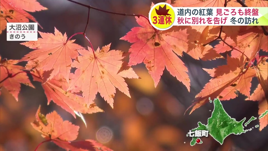 紅葉の見ごろは終盤