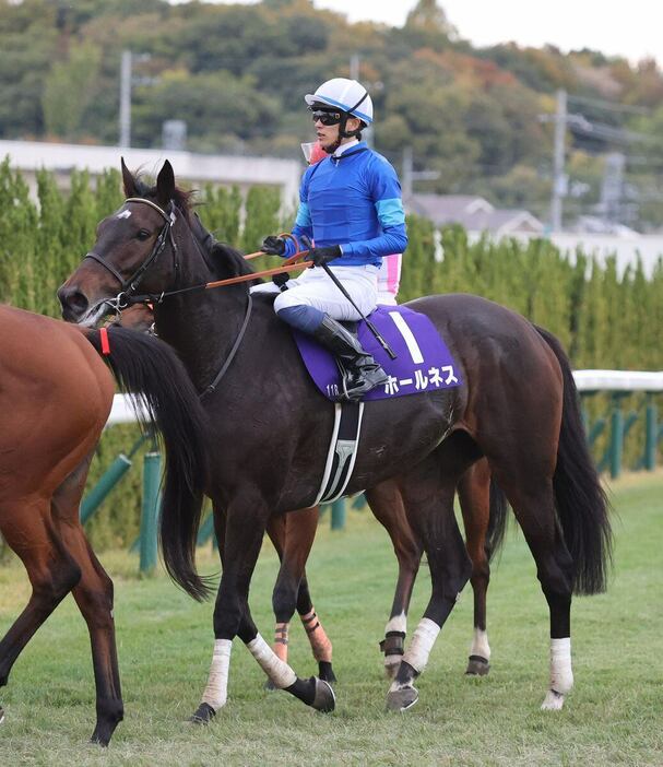 エリザベス女王杯で3着に敗れたホールネス＝京都競馬場（撮影・安部光翁）