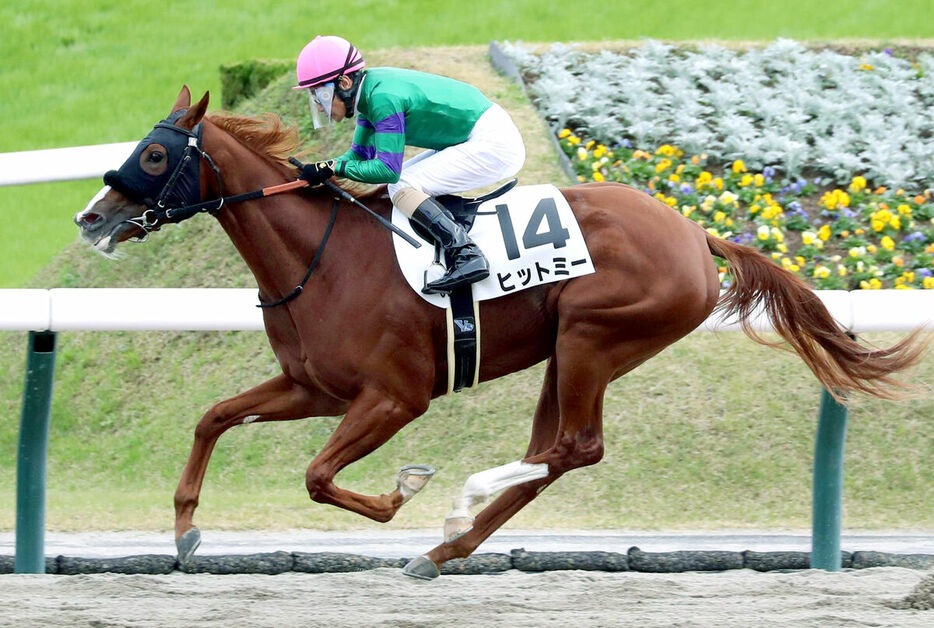 柴田善臣騎手とのコンビでデビュー戦を勝利で飾ったヒットミー（カメラ・荒牧　徹）