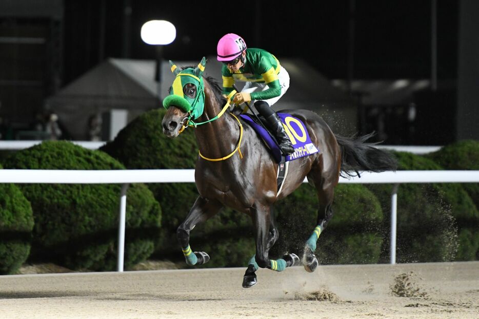 JBCクラシック・ウィルソンテソーロと川田将雅騎手 (C)NAR地方競馬全国協会