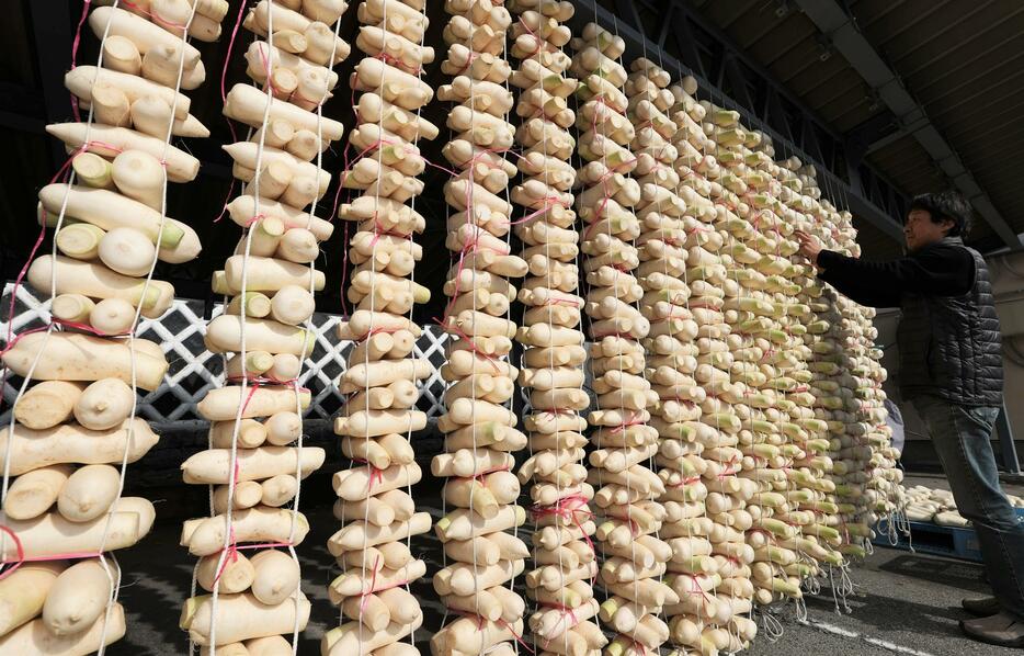 軒下で日差しを浴びる漬物用の大根