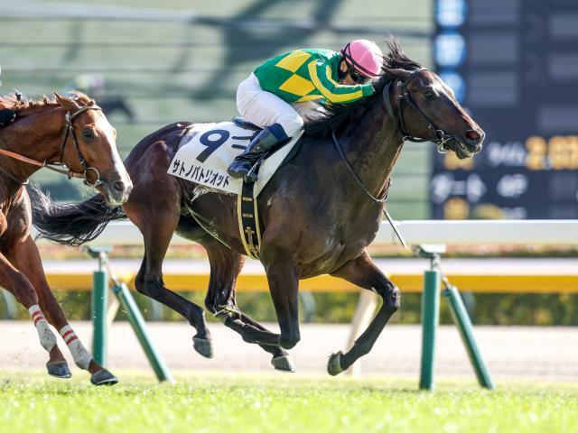 東京5Rの新馬戦を制したサトノパトリオット(撮影：下野雄規)