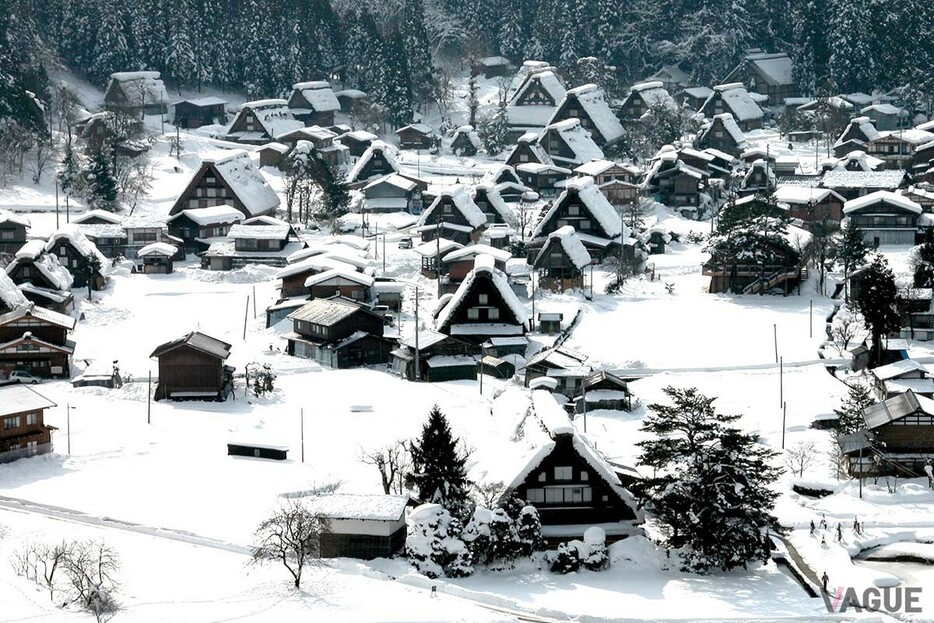 木の梁を山形に組み合わせる「合掌造り」が特徴的な白川郷