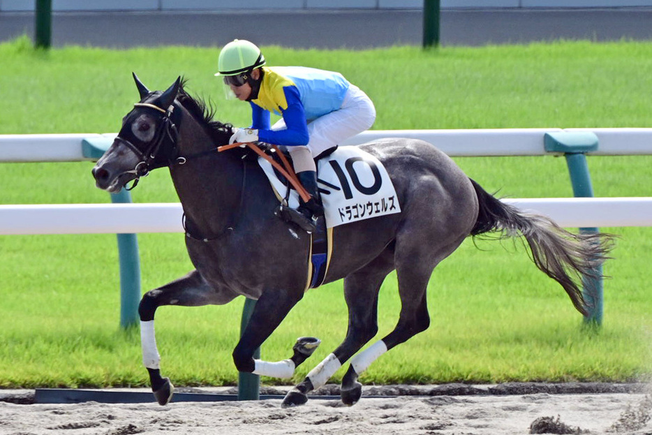 新馬圧勝のドラゴンウェルズはムーアとのコンビでカトレアＳへ