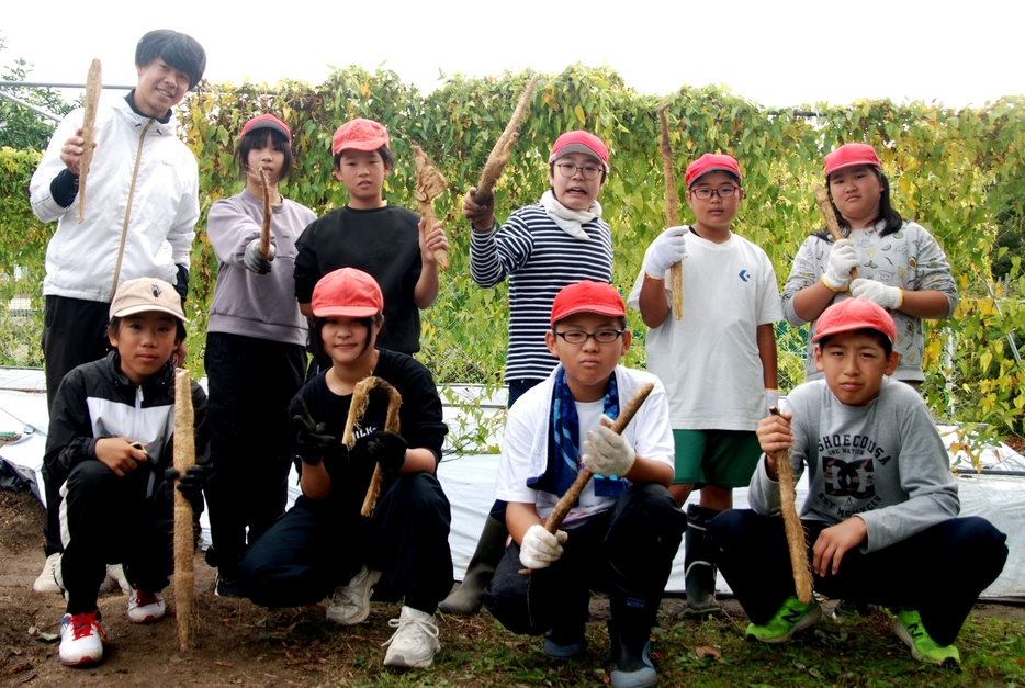 【収穫した自然薯を持つ6年生ら＝亀山市加太北在家で】