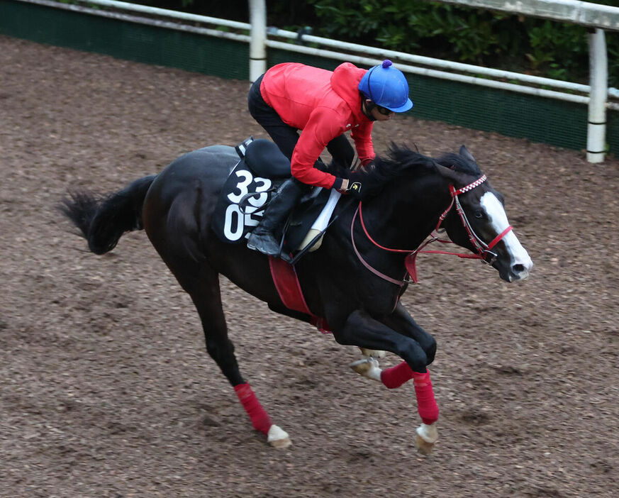 馬トク激走馬に算出されたシンフォーエバー