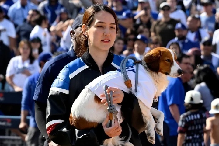 日本でも米国でも多くの人に愛される大谷翔平の妻・真美子さん。(C)Getty Images