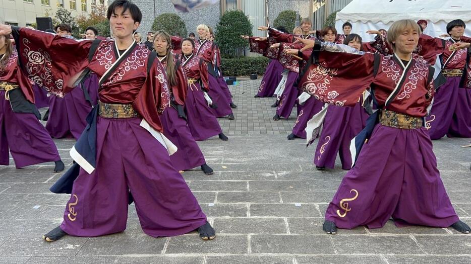 「奏向（かなた）」を披露するよさこいソーラン風神部