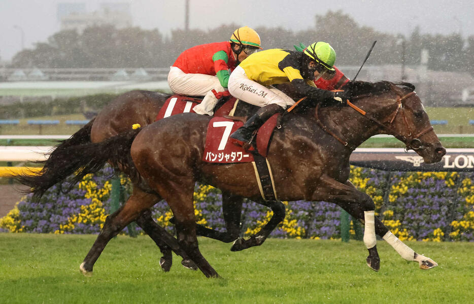 マイネルチケット（奥）との競り合いを制して京王杯2歳Sに勝利したパンジャタワーと松山騎手