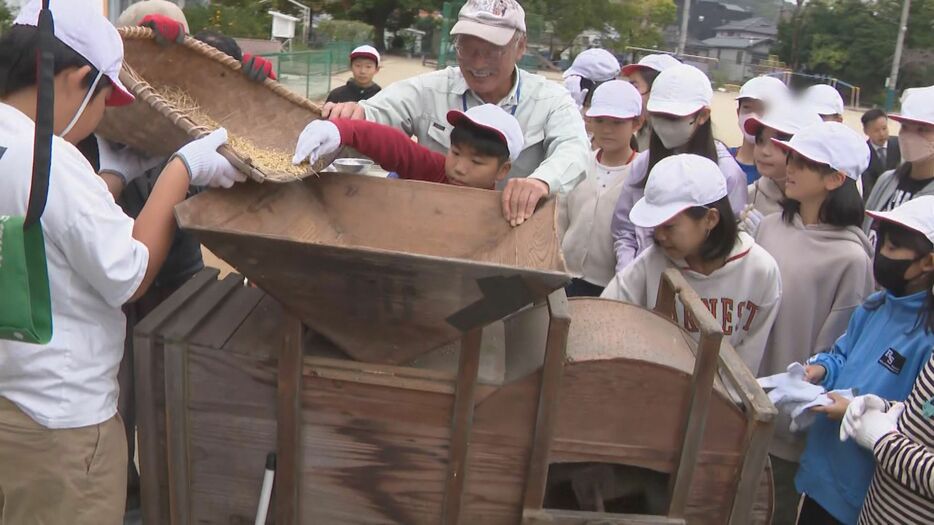 稲の脱穀を体験する子供たち 愛知県岡崎市の梅園小学校