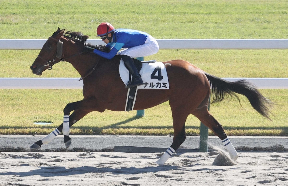 後続を突き放し大差勝ちするナルカミ（撮影・亀井直樹）　