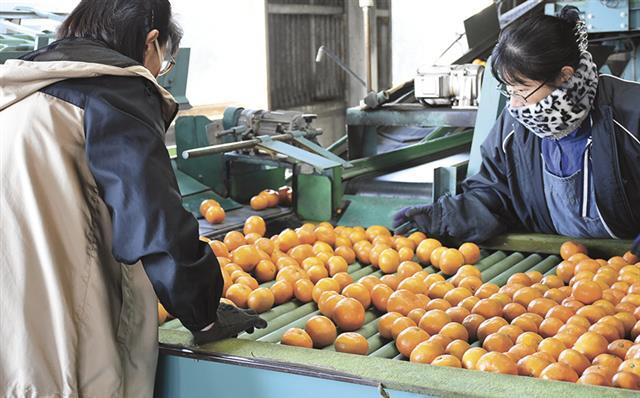 （写真：中部経済新聞）