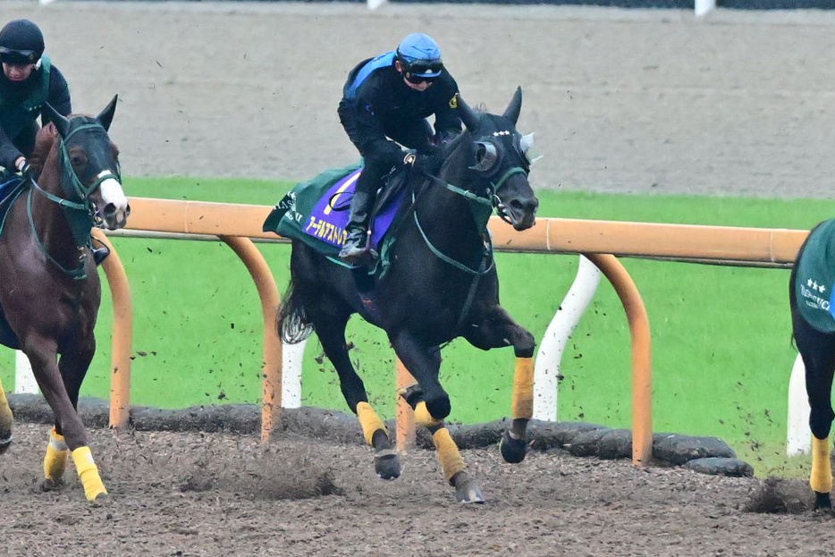 順調な仕上がりを見せるアーテルアストレア（中）